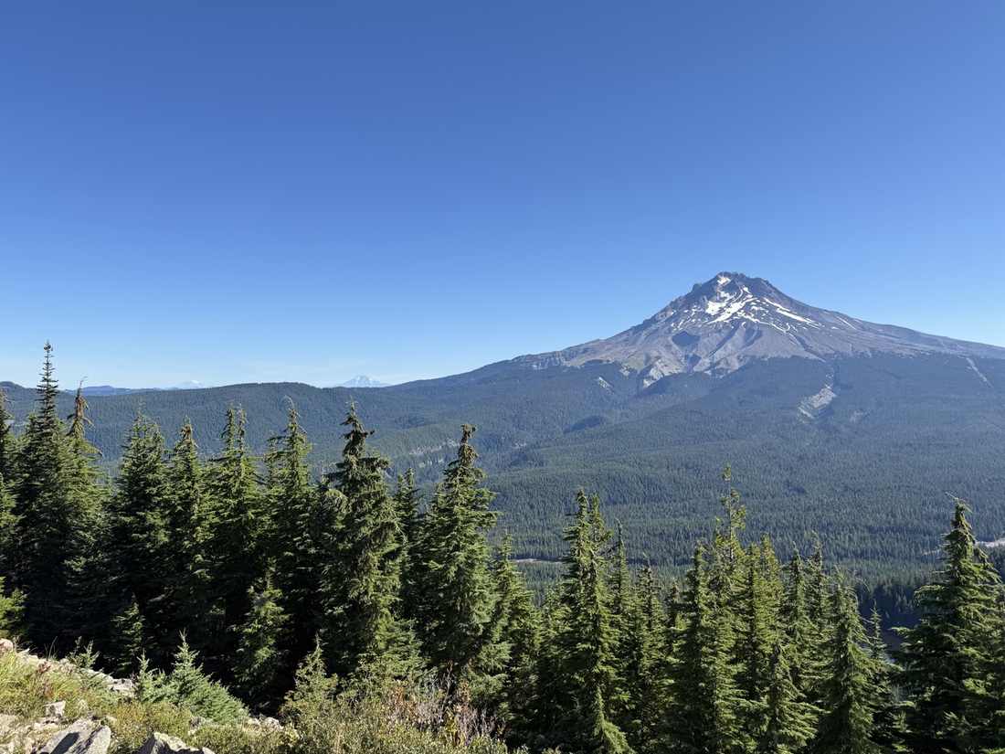 Cascade volcano rising above evergreen forest
